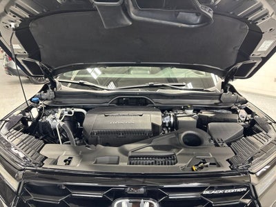 2025 Honda Pilot Black Edition